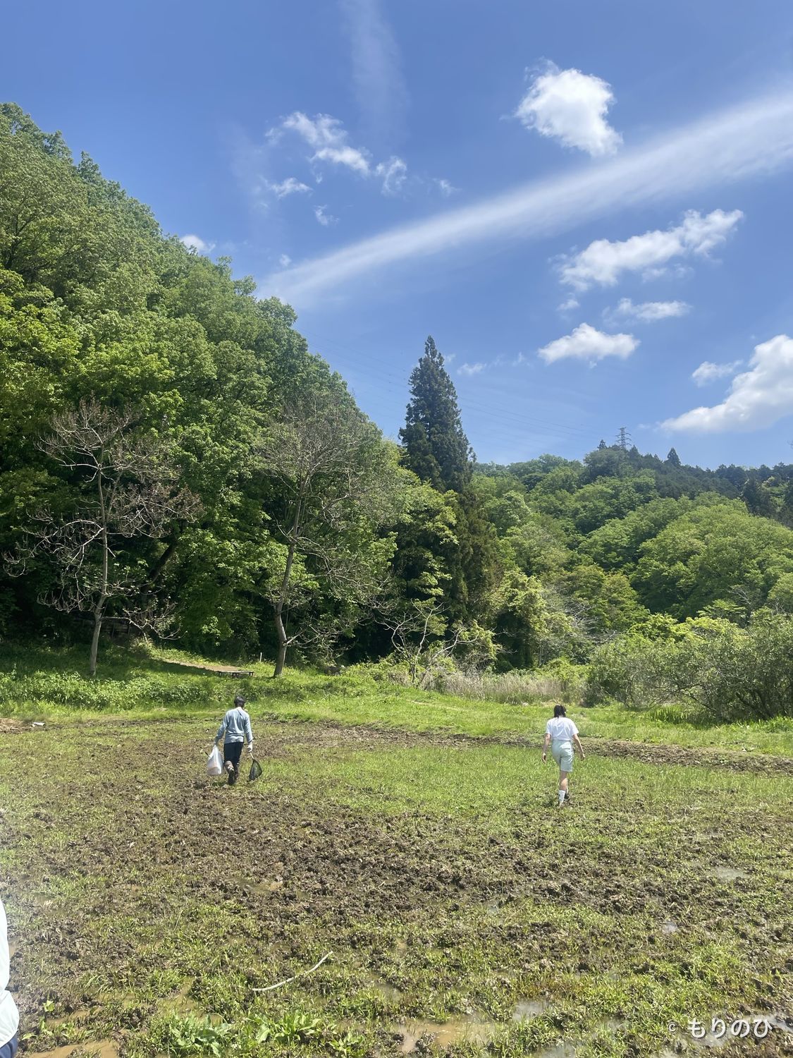 里山の田んぼと大空のなかで過ごすこどもたち