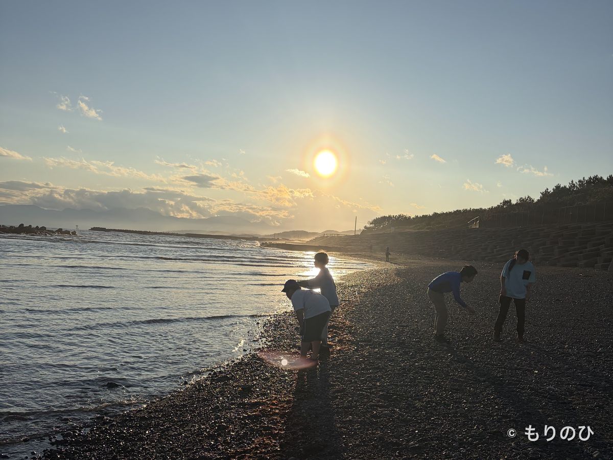 夕暮れの海辺で過ごすこどもたち