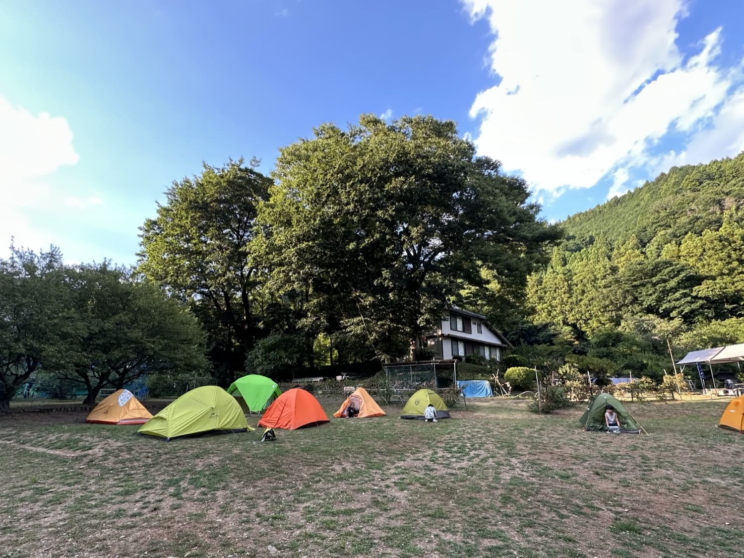 色とりどりのテントが並ぶキャンプ場