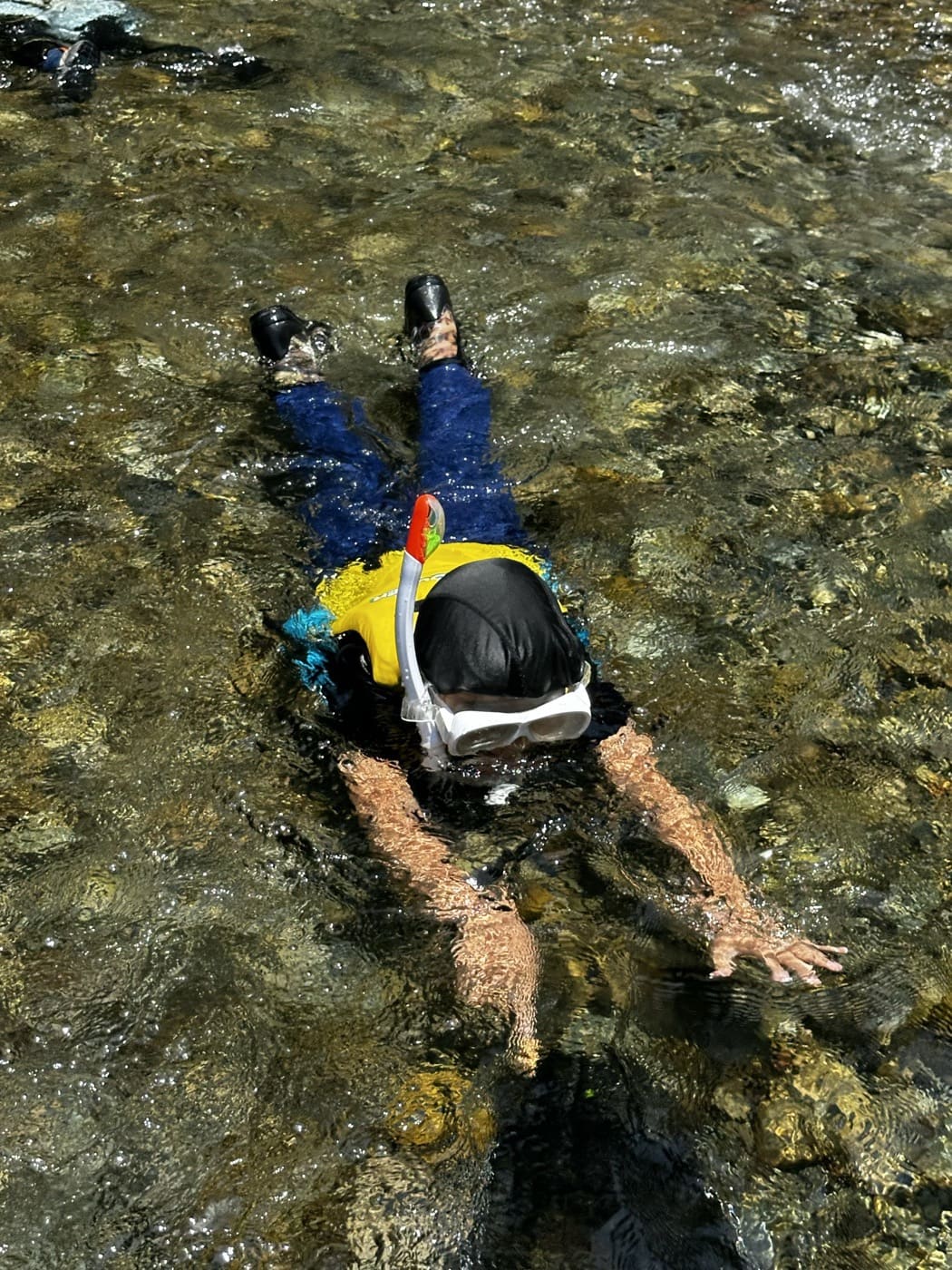 清流に浮かんで川の中をのぞく様子