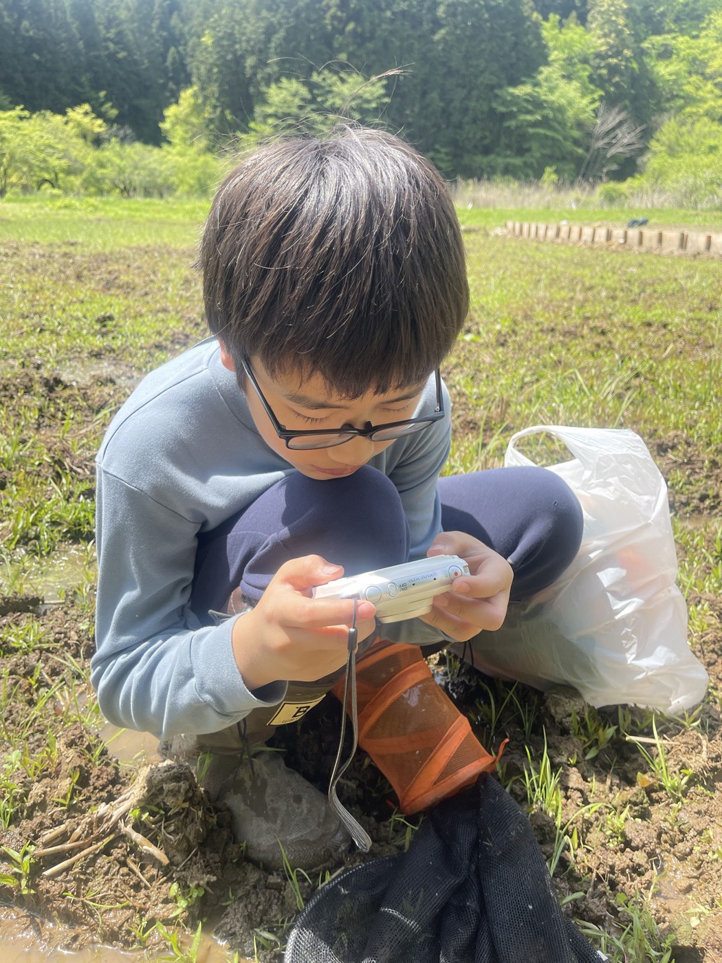 手のひらでいきものを観察する子ども