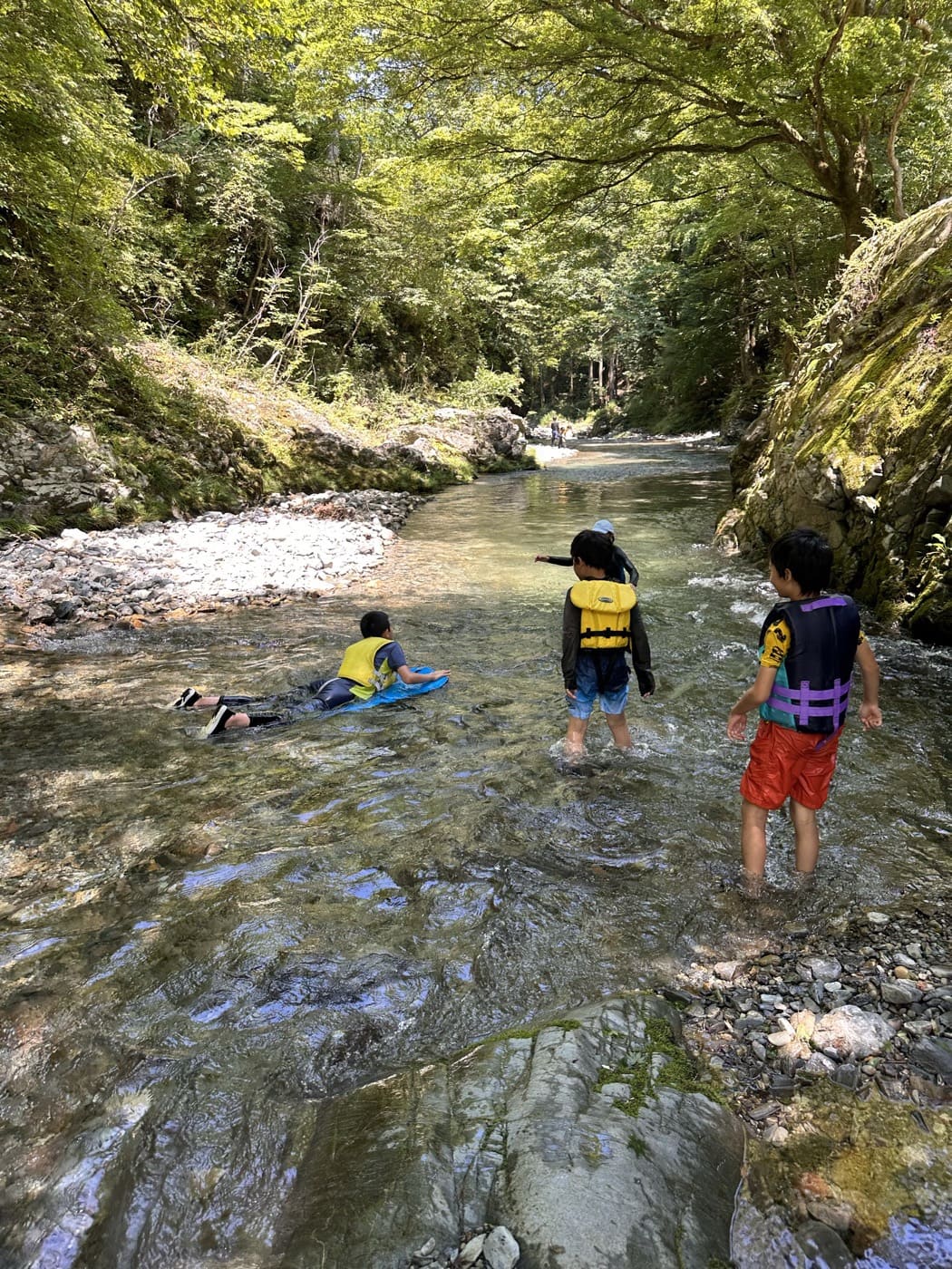 森の渓流をさかのぼって歩く子どもたち