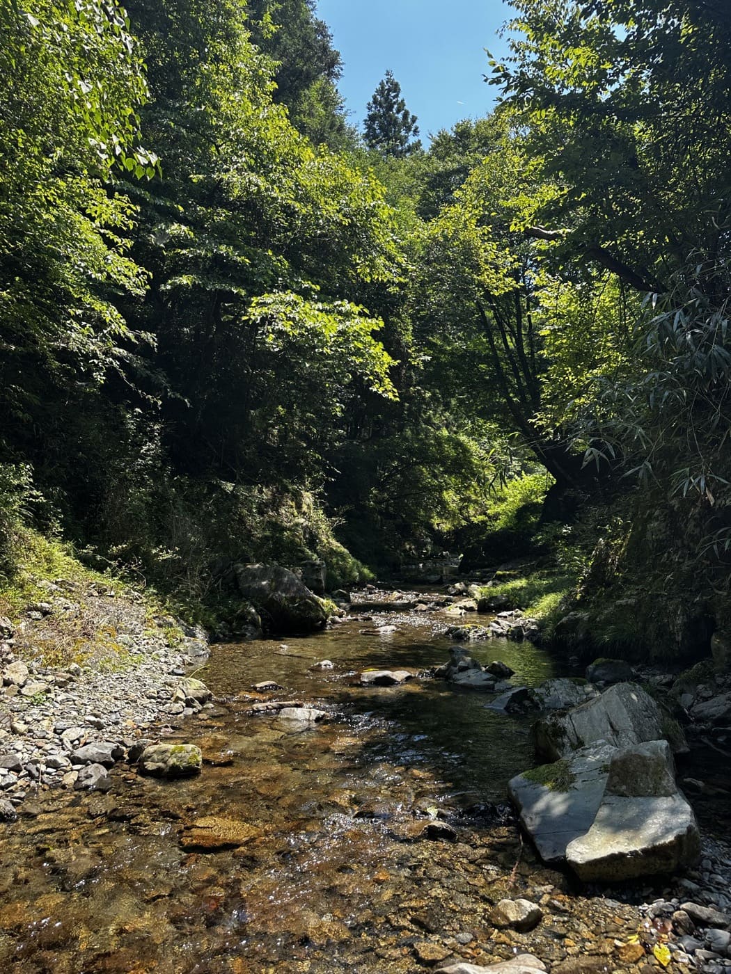 清らかな渓流(沢歩き)