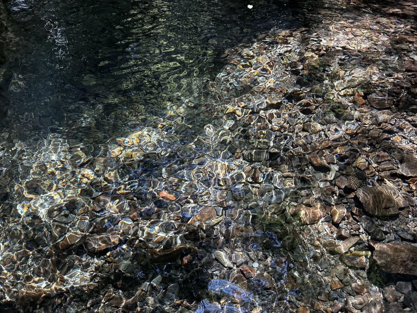 ひんやりと透き通った清流の水底